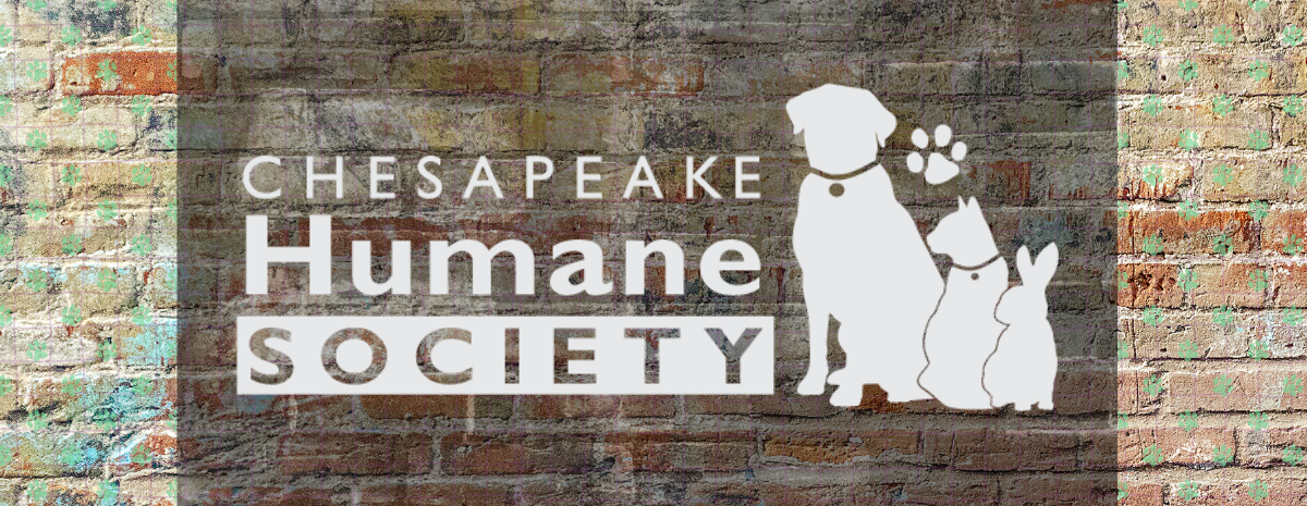 _ Qgive Event Header (1200 x 465 px), Gala 2025  (5).png