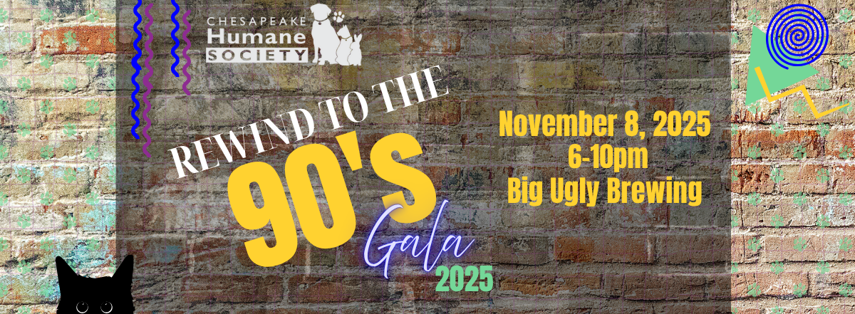 Rewind to the 90's Gala